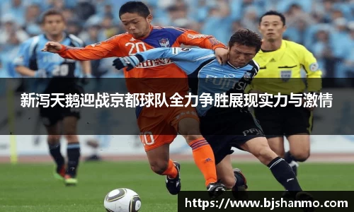 新泻天鹅迎战京都球队全力争胜展现实力与激情