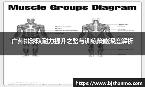 广州排球队耐力提升之路与训练策略深度解析