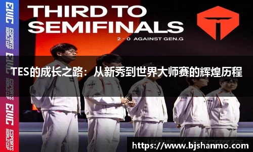 TES的成长之路：从新秀到世界大师赛的辉煌历程